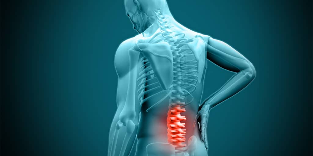 Digital medical illustration showing a transparent human figure with a highlighted red area indicating lower back pain.